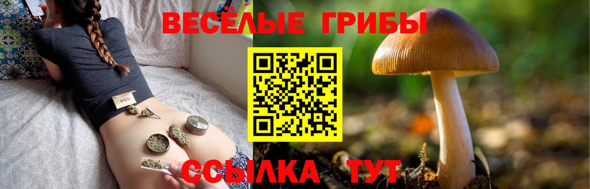 Псилоцибиновые грибы Magic Shrooms Урус-Мартан